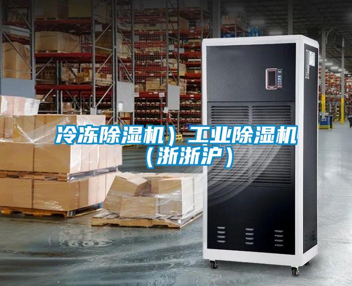 冷凍除濕機）工業(yè)除濕機（浙浙滬）