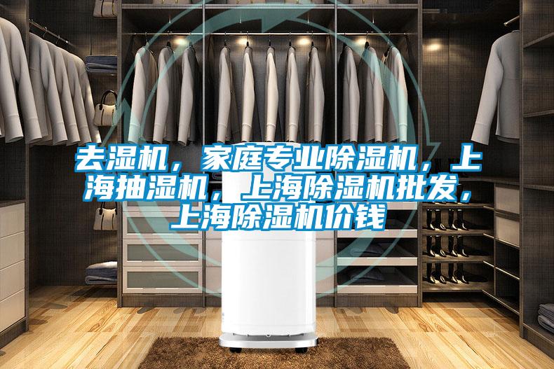 去濕機，家庭專業(yè)除濕機，上海抽濕機，上海除濕機批發(fā)，上海除濕機價錢