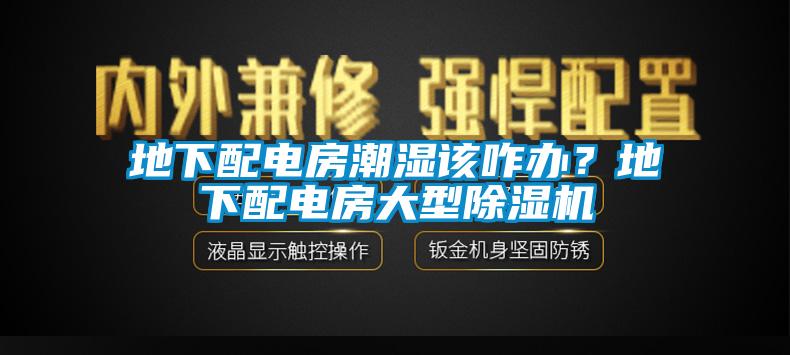 地下配電房潮濕該咋辦？地下配電房大型除濕機