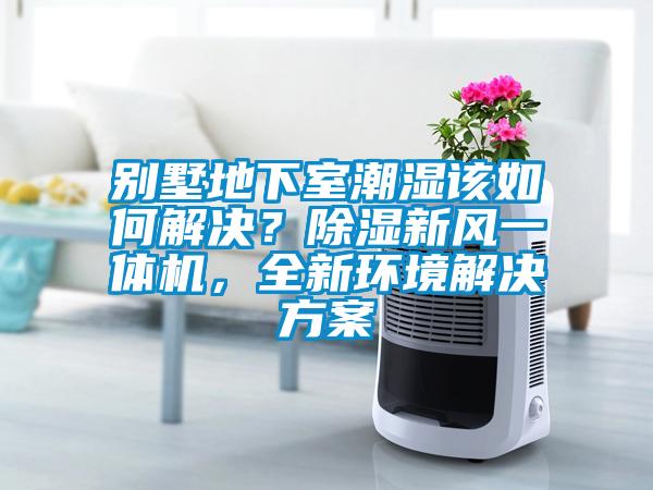 別墅地下室潮濕該如何解決？除濕新風(fēng)一體機(jī)，全新環(huán)境解決方案