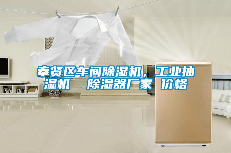奉賢區(qū)車(chē)間除濕機(jī)，工業(yè)抽濕機(jī)  除濕器廠家 價(jià)格