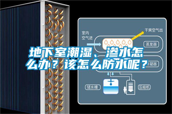 地下室潮濕、滲水怎么辦？該怎么防水呢？