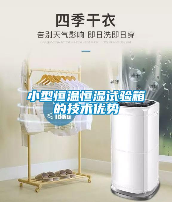 小型恒溫恒濕試驗(yàn)箱的技術(shù)優(yōu)勢