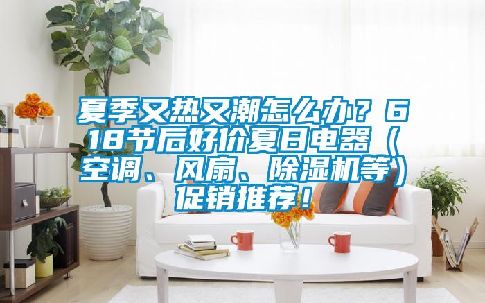 夏季又熱又潮怎么辦？618節(jié)后好價(jià)夏日電器（空調(diào)、風(fēng)扇、除濕機(jī)等）促銷推薦！