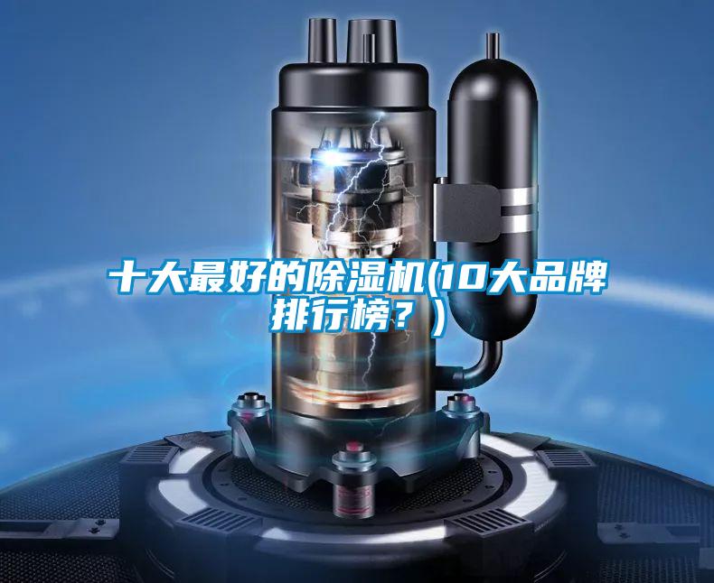 十大最好的除濕機(jī)(10大品牌排行榜？)
