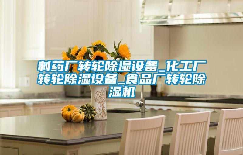 制藥廠轉輪除濕設備_化工廠轉輪除濕設備_食品廠轉輪除濕機