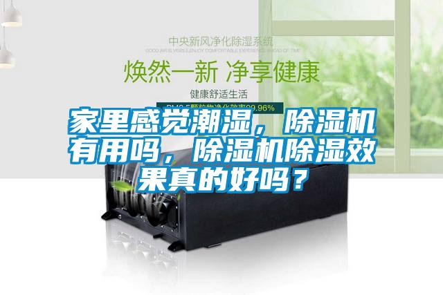 家里感覺潮濕，除濕機(jī)有用嗎，除濕機(jī)除濕效果真的好嗎？