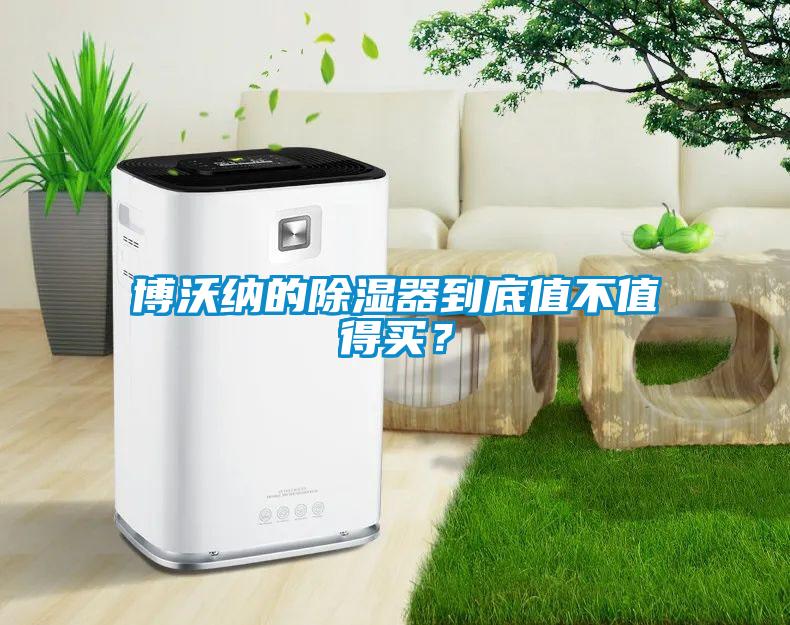 博沃納的除濕器到底值不值得買？