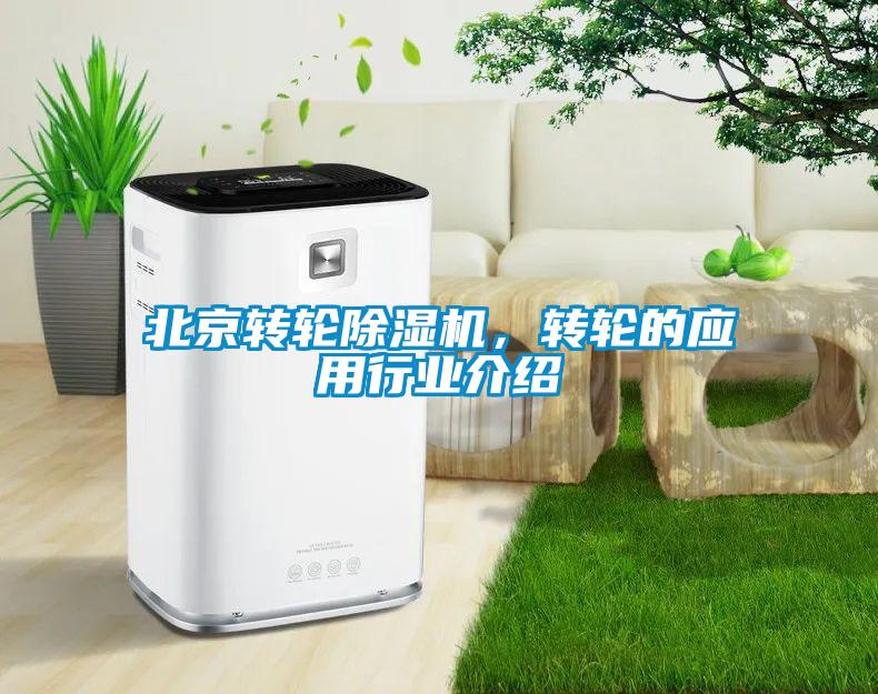 北京轉(zhuǎn)輪除濕機(jī)，轉(zhuǎn)輪的應(yīng)用行業(yè)介紹