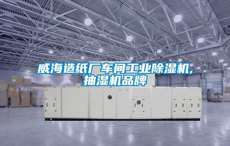 威海造紙廠車間工業(yè)除濕機,抽濕機品牌