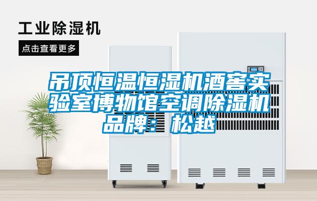 吊頂恒溫恒濕機(jī)酒窖實驗室博物館空調(diào)除濕機(jī)品牌：松越