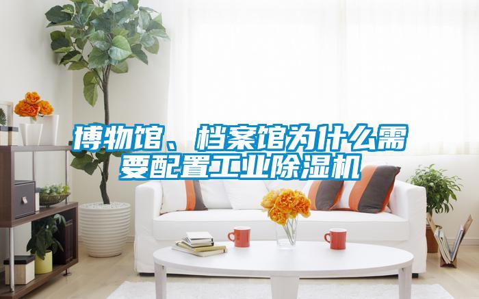 博物館、檔案館為什么需要配置工業(yè)除濕機
