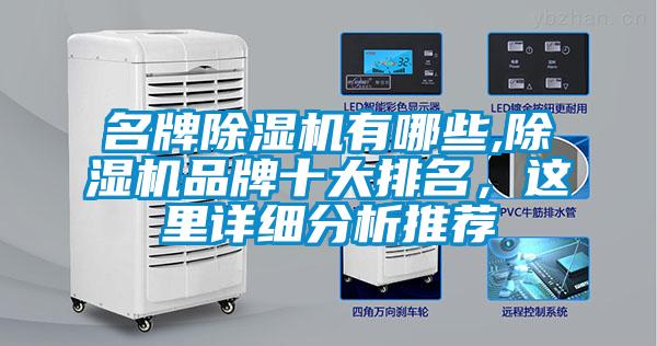 名牌除濕機(jī)有哪些,除濕機(jī)品牌十大排名，這里詳細(xì)分析推薦