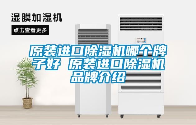 原裝進(jìn)口除濕機(jī)哪個(gè)牌子好 原裝進(jìn)口除濕機(jī)品牌介紹
