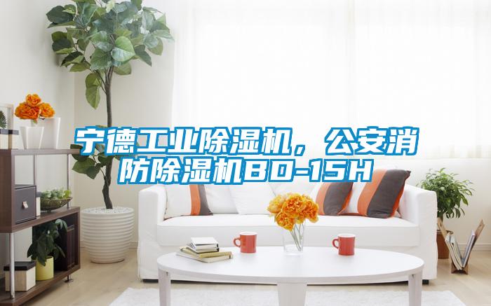 寧德工業(yè)除濕機(jī)，公安消防除濕機(jī)BD-15H