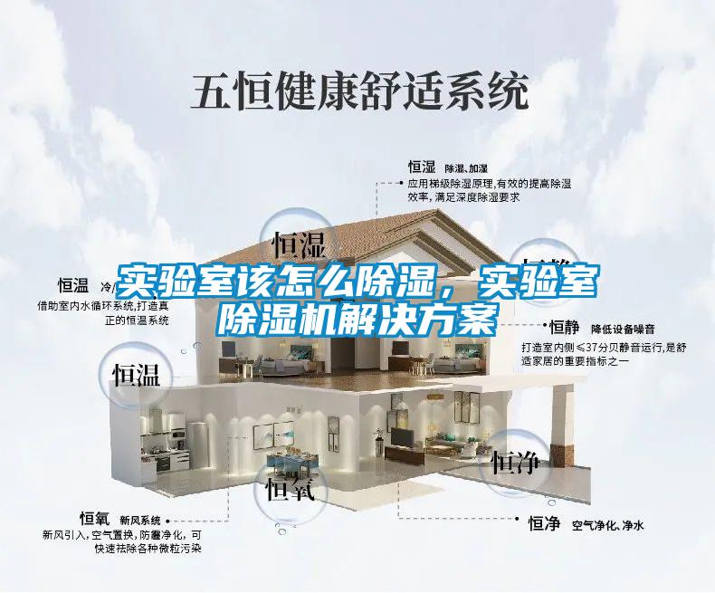 實驗室該怎么除濕，實驗室除濕機(jī)解決方案