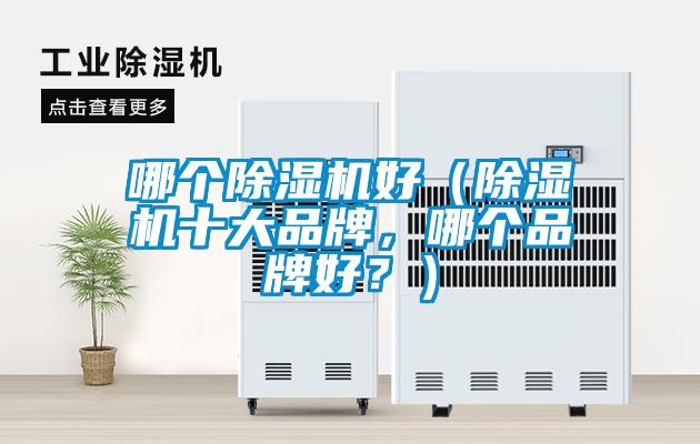 哪個(gè)除濕機(jī)好（除濕機(jī)十大品牌，哪個(gè)品牌好？）