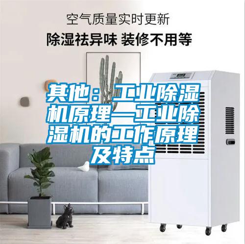 其他：工業(yè)除濕機原理—工業(yè)除濕機的工作原理及特點