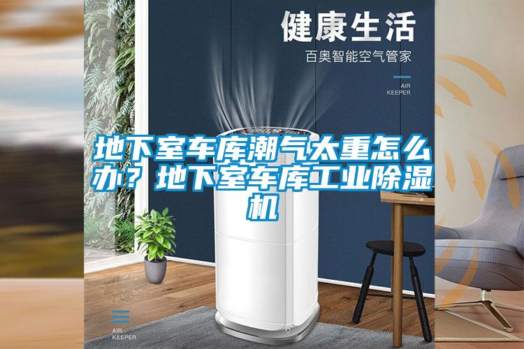 地下室車庫潮氣太重怎么辦？地下室車庫工業(yè)除濕機(jī)