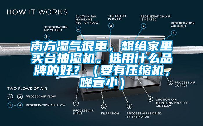 南方濕氣很重，想給家里買(mǎi)臺(tái)抽濕機(jī)。選用什么品牌的好？（要有壓縮機(jī)，噪音?。?/></p>
<p style=