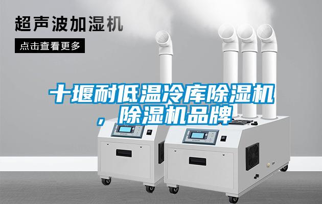 十堰耐低溫冷庫(kù)除濕機(jī)，除濕機(jī)品牌