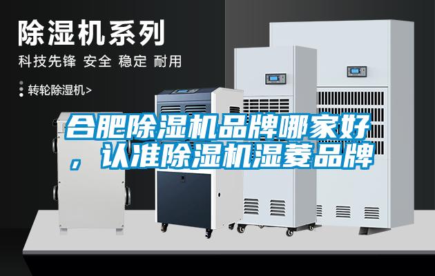 合肥除濕機品牌哪家好，認準除濕機濕菱品牌