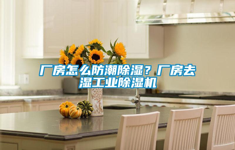 廠房怎么防潮除濕？廠房去濕工業(yè)除濕機(jī)