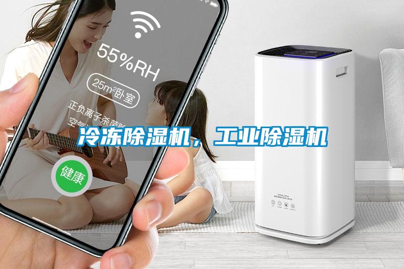 冷凍除濕機(jī)，工業(yè)除濕機(jī)