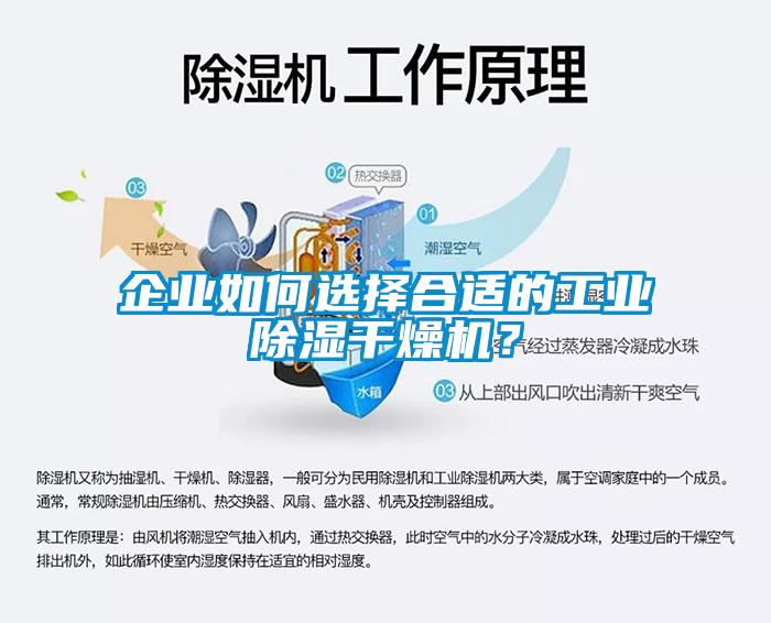 企業(yè)如何選擇合適的工業(yè)除濕干燥機？
