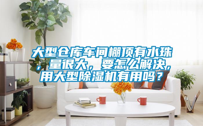 大型倉庫車間棚頂有水珠，量很大，要怎么解決，用大型除濕機(jī)有用嗎？