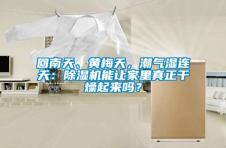 回南天、黃梅天，潮氣濕連天：除濕機(jī)能讓家里真正干燥起來嗎？