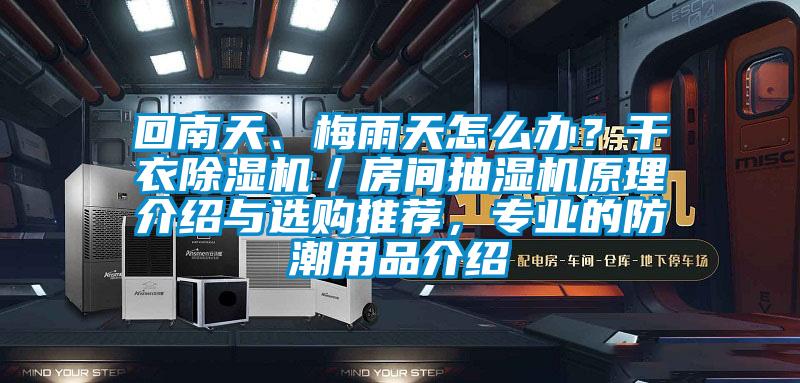 回南天、梅雨天怎么辦？干衣除濕機／房間抽濕機原理介紹與選購推薦，專業(yè)的防潮用品介紹