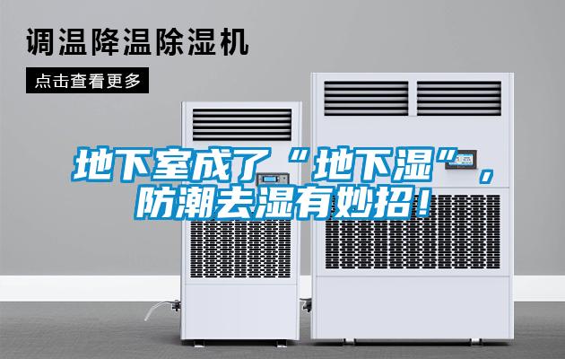 地下室成了“地下濕”，防潮去濕有妙招！