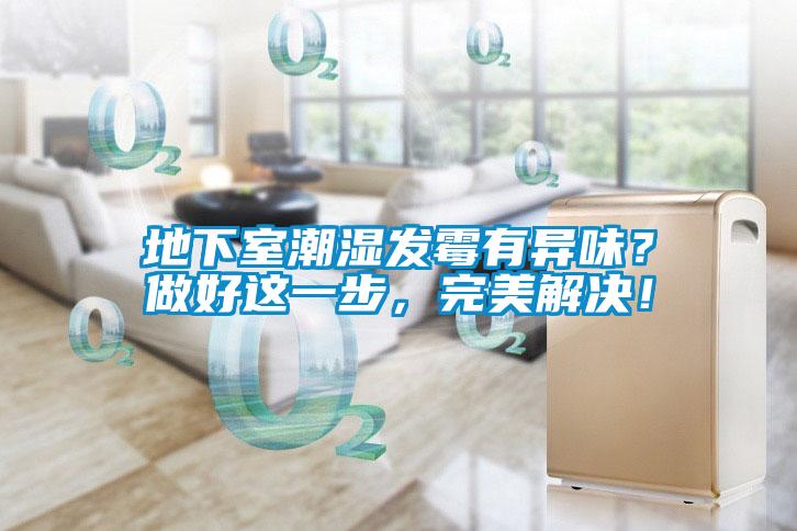 地下室潮濕發(fā)霉有異味？做好這一步，完美解決！