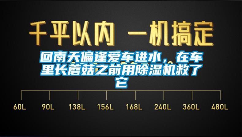 回南天偏逢愛車進(jìn)水，在車?yán)镩L蘑菇之前用除濕機(jī)救了它