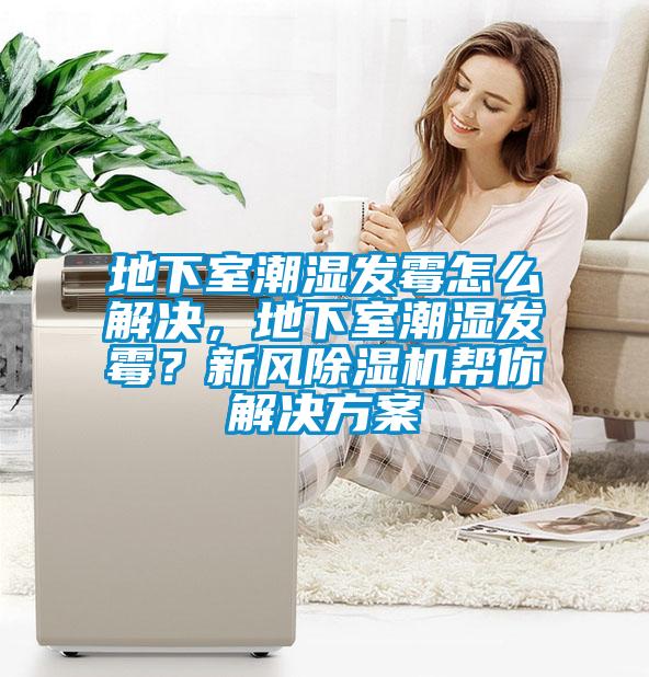 地下室潮濕發(fā)霉怎么解決，地下室潮濕發(fā)霉？新風(fēng)除濕機(jī)幫你解決方案