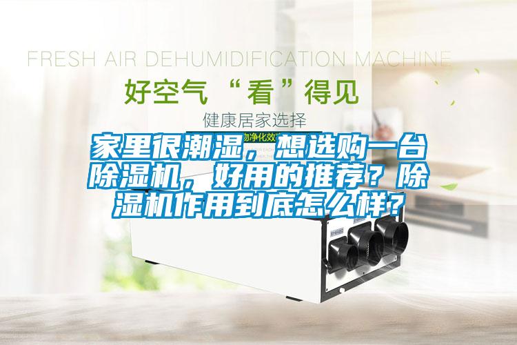 家里很潮濕，想選購(gòu)一臺(tái)除濕機(jī)，好用的推薦？除濕機(jī)作用到底怎么樣？