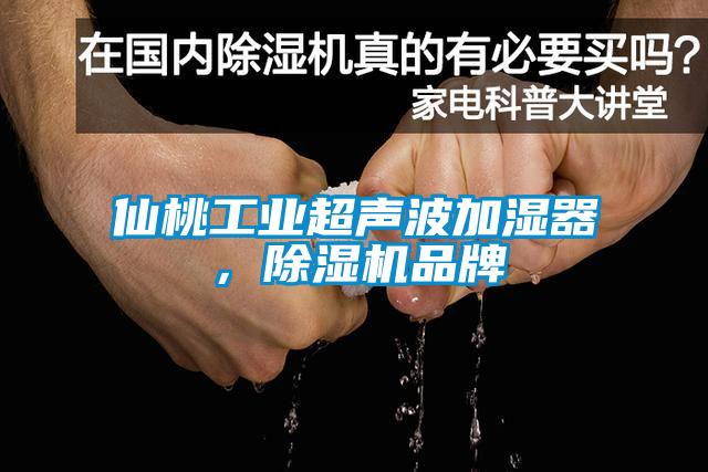 仙桃工業(yè)超聲波加濕器，除濕機(jī)品牌