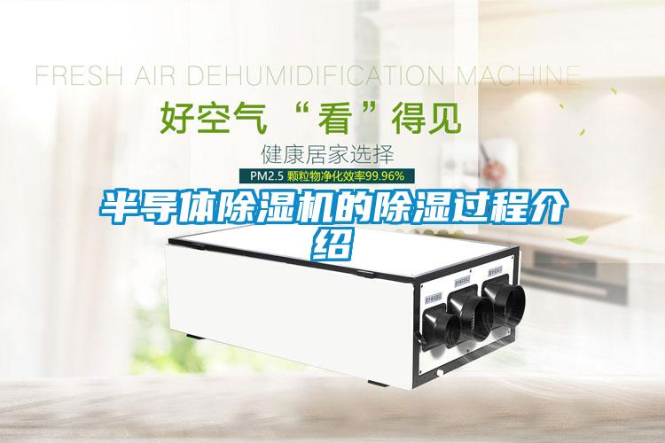 半導(dǎo)體除濕機的除濕過程介紹