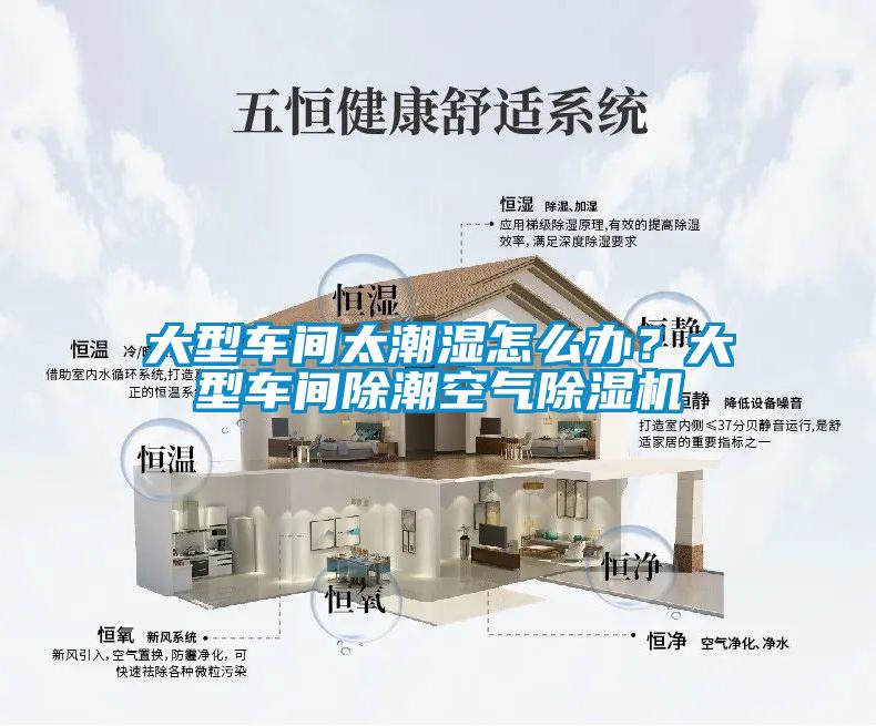 大型車間太潮濕怎么辦？大型車間除潮空氣除濕機(jī)