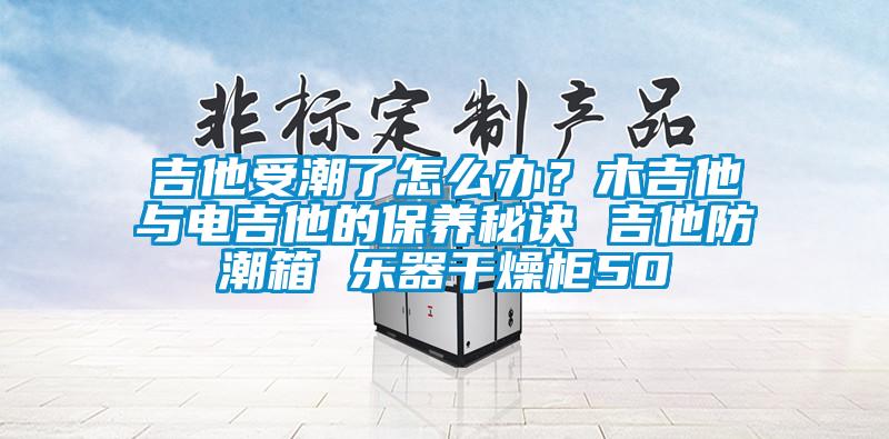 吉他受潮了怎么辦？木吉他與電吉他的保養(yǎng)秘訣 吉他防潮箱 樂器干燥柜50