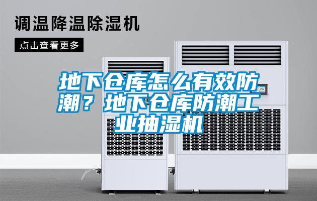地下倉庫怎么有效防潮？地下倉庫防潮工業(yè)抽濕機