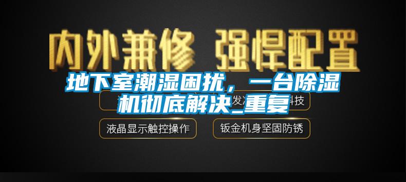 地下室潮濕困擾，一臺除濕機徹底解決_重復