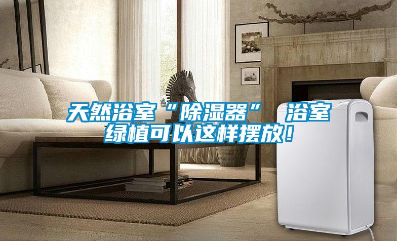 天然浴室“除濕器” 浴室綠植可以這樣擺放！