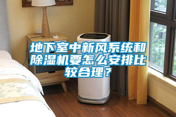 地下室中新風(fēng)系統(tǒng)和除濕機(jī)要怎么安排比較合理？