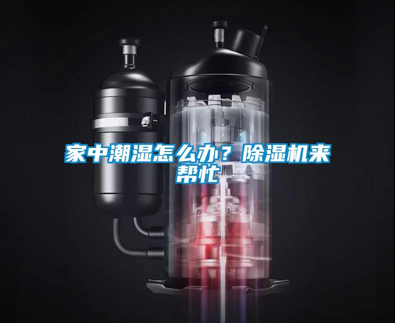 家中潮濕怎么辦？除濕機來幫忙