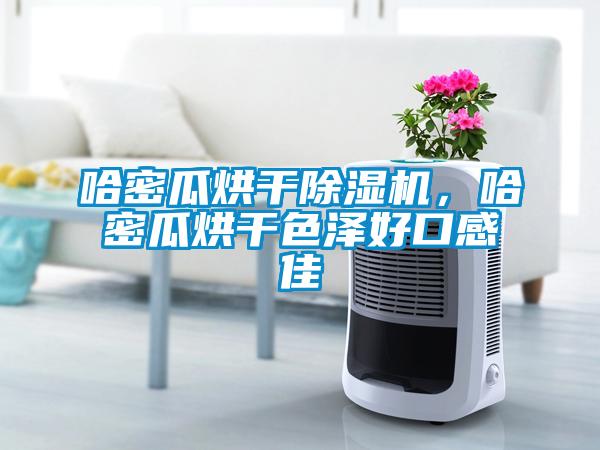 哈密瓜烘干除濕機，哈密瓜烘干色澤好口感佳