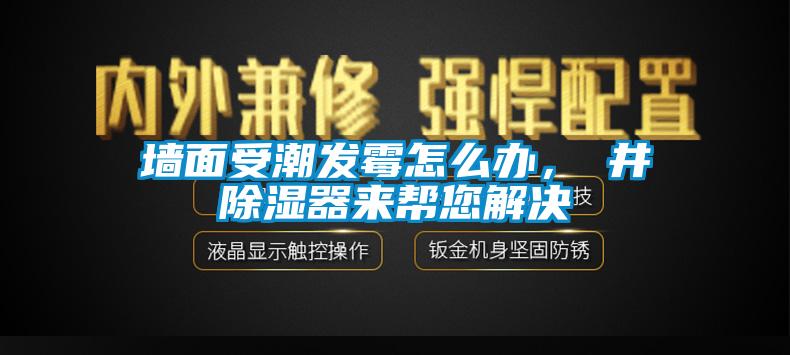 墻面受潮發(fā)霉怎么辦，東井除濕器來幫您解決