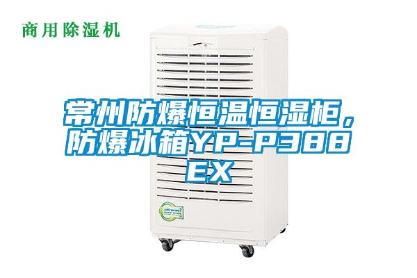 常州防爆恒溫恒濕柜，防爆冰箱YP-P388EX
