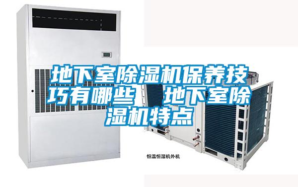 地下室除濕機(jī)保養(yǎng)技巧有哪些  地下室除濕機(jī)特點(diǎn)